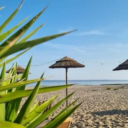 Campsite Cocon Du Mobilhome 3 Chambres,6 Pers,camping Mayotte 5 Etoiles Landes Biscarrosse